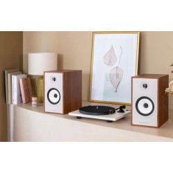 Triangle Borea Active BR03 Connect - Enceintes Bibliothèque Bluetooth