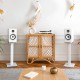 Triangle CAPELLA - Enceintes Actives Wi-Fi & Bluetooth