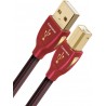 Audioquest Forest USB