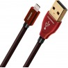 Audioquest Cinnamon USB A vers Lightning